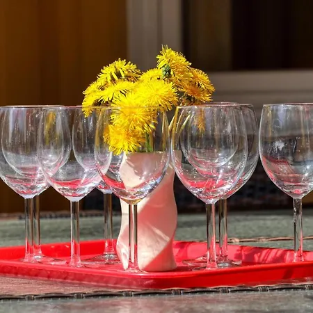 Casa vacanze Poolhaus 2 In Gross Mohrdorf