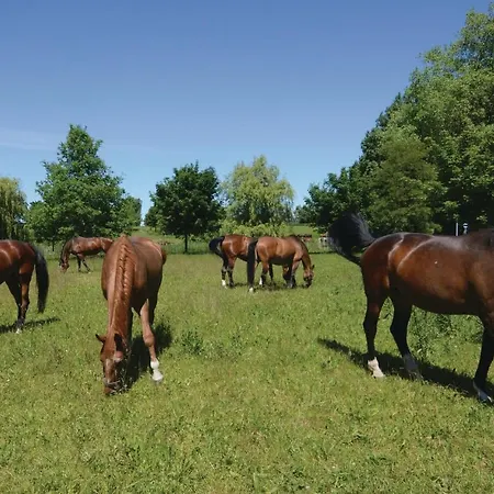 Poolhaus 2 In Casa vacanze *